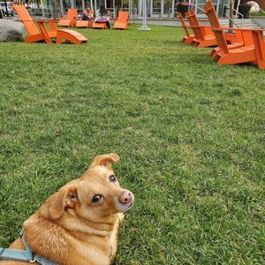 Meet your Posher, Christina